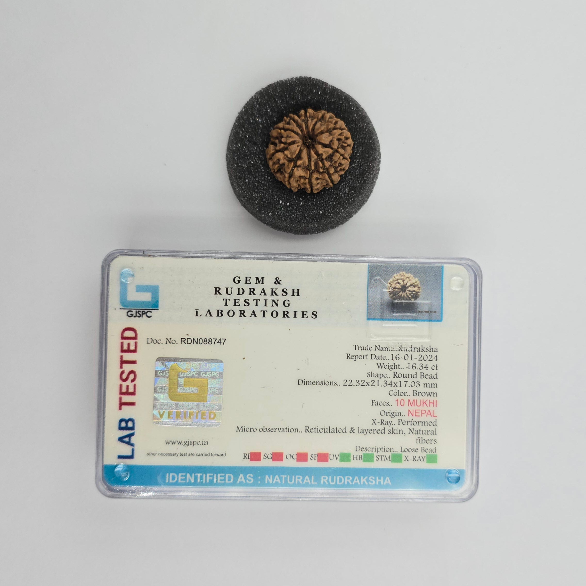 10-Mukhi