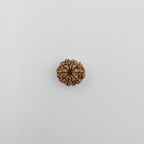 10-Mukhi