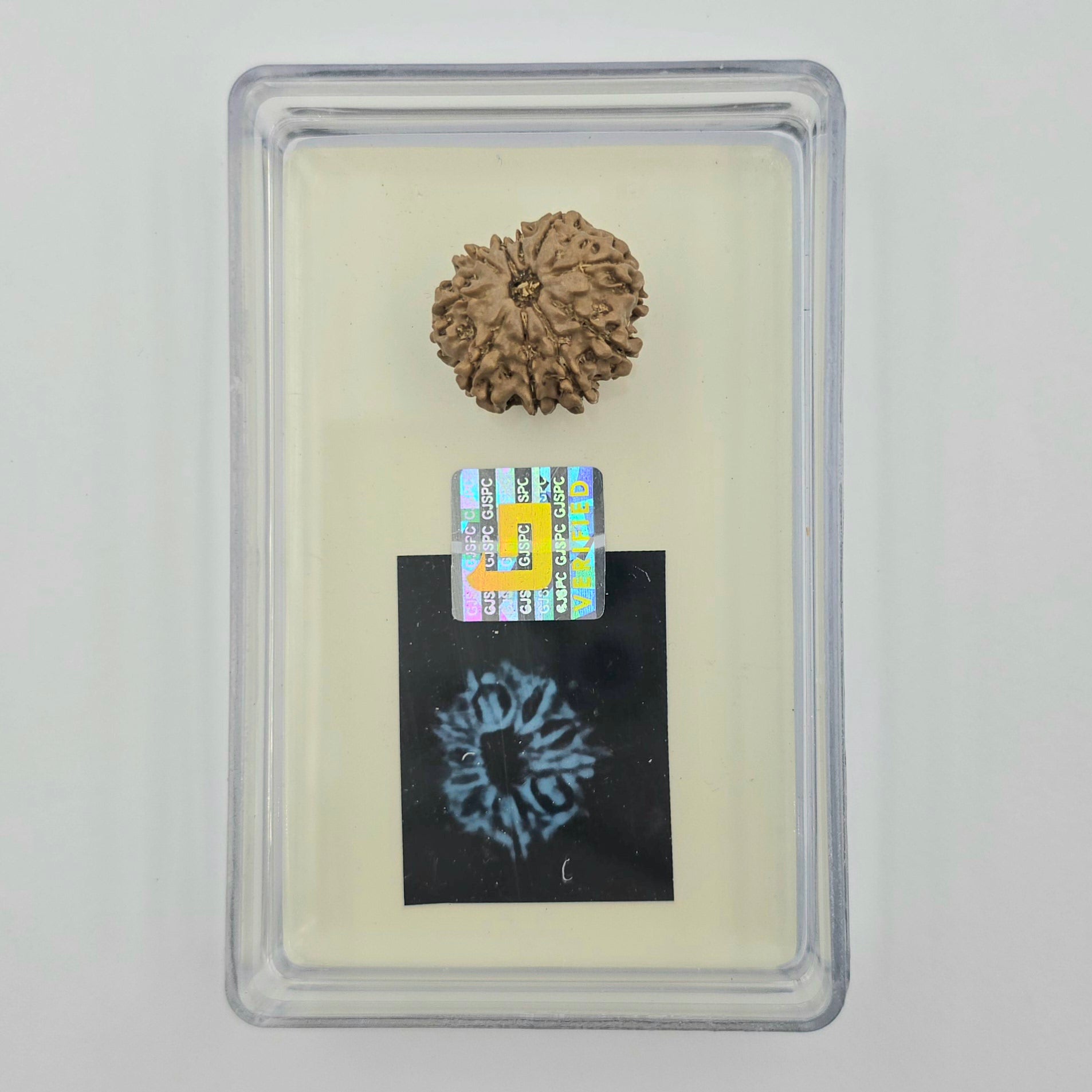 10-Mukhi