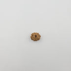 10-Mukhi
