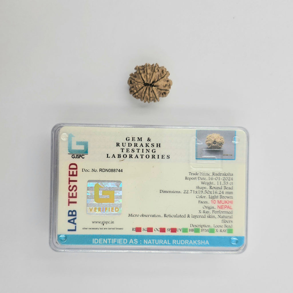 10-Mukhi