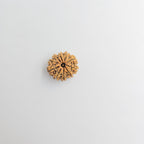 10-Mukhi