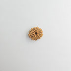 10-Mukhi