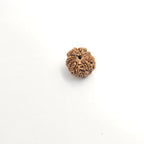 10-Mukhi