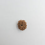 10-Mukhi
