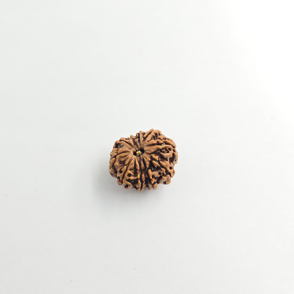 10-Mukhi