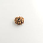 10-Mukhi