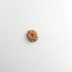 10-Mukhi