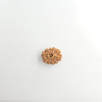 10-Mukhi