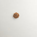 10-Mukhi