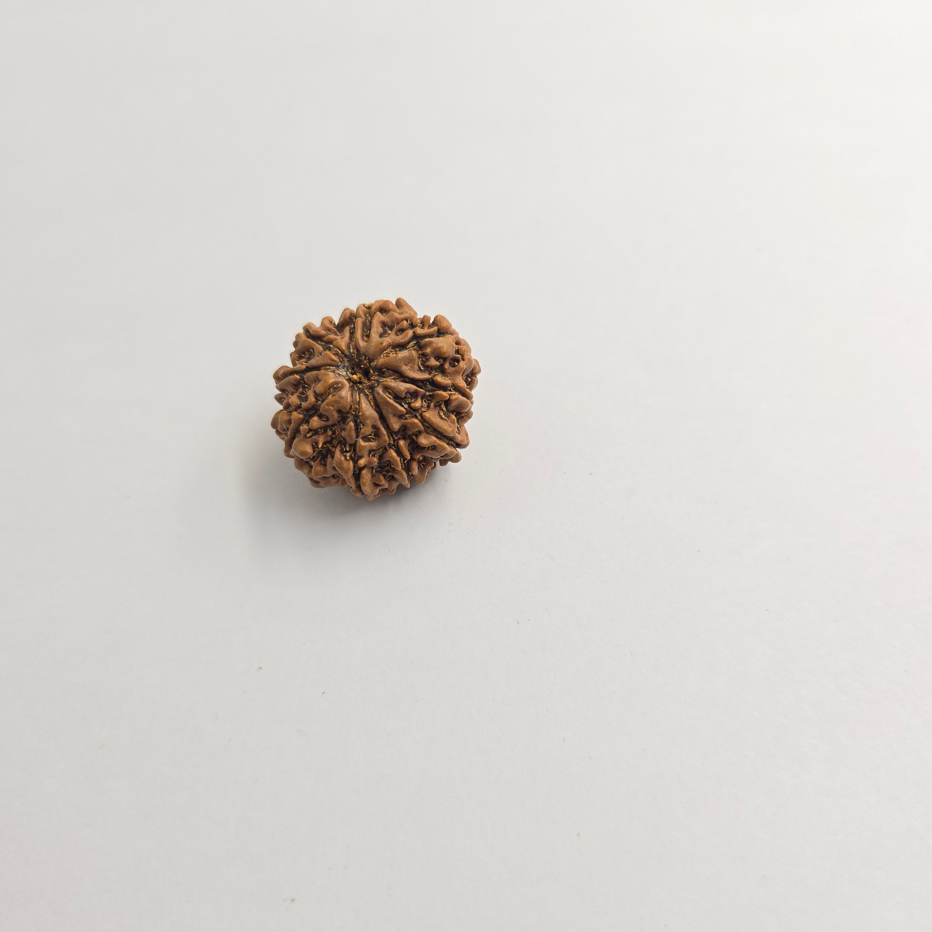10-Mukhi