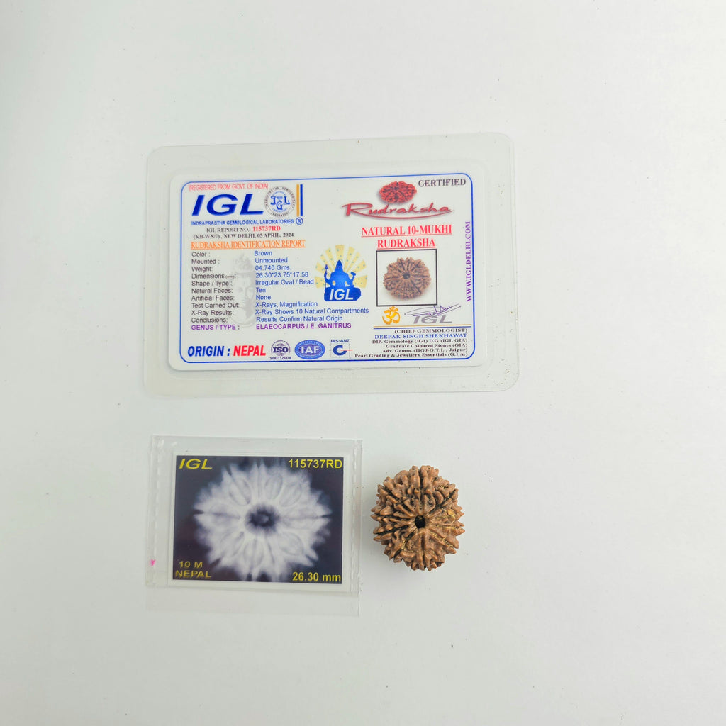 10-Mukhi