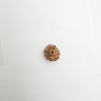 10-Mukhi