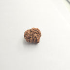 10-Mukhi