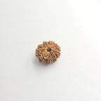 10-Mukhi