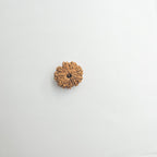 10-Mukhi