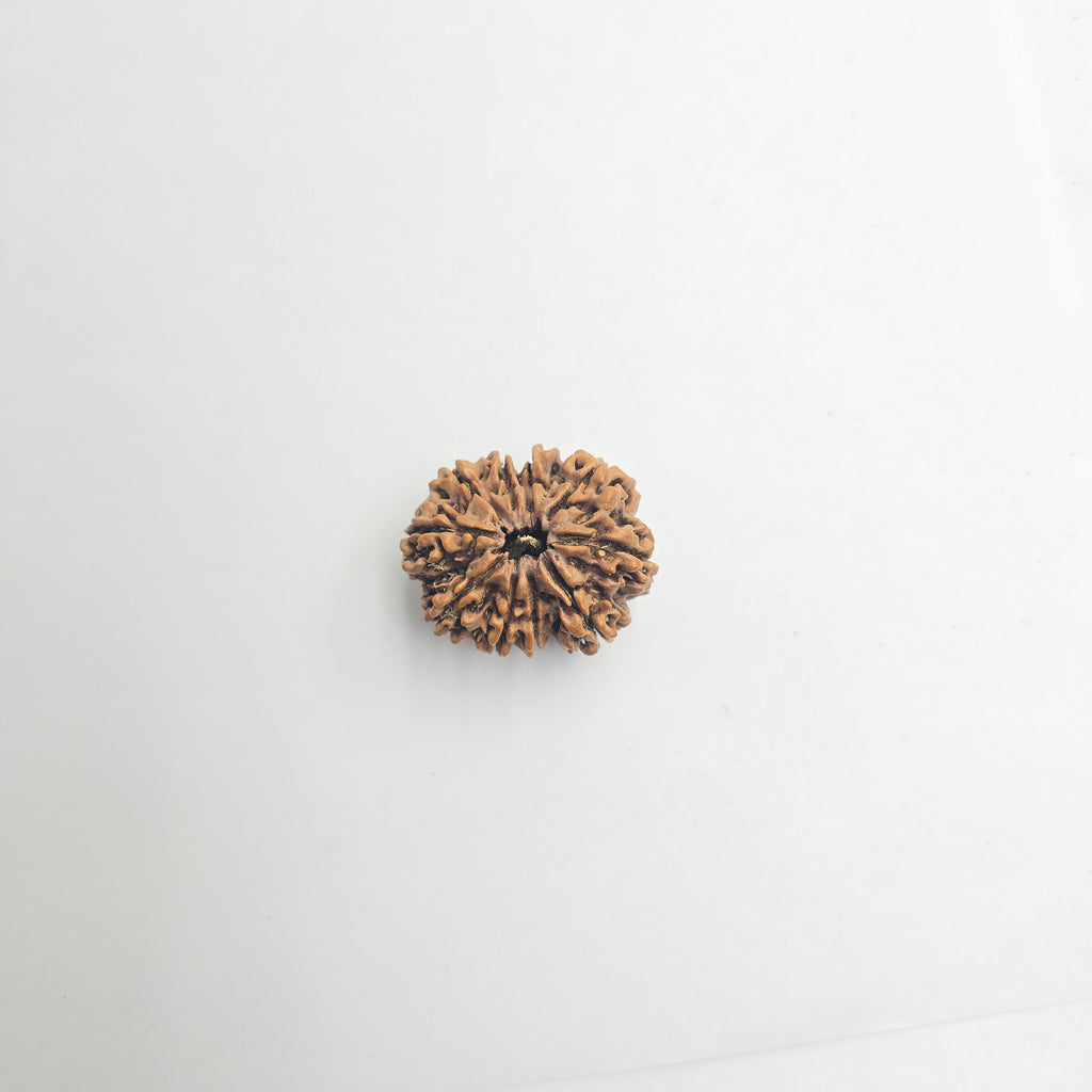 10-Mukhi