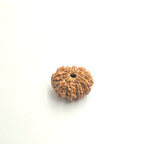 10-Mukhi