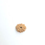 10-Mukhi