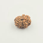 11 Mukhi
