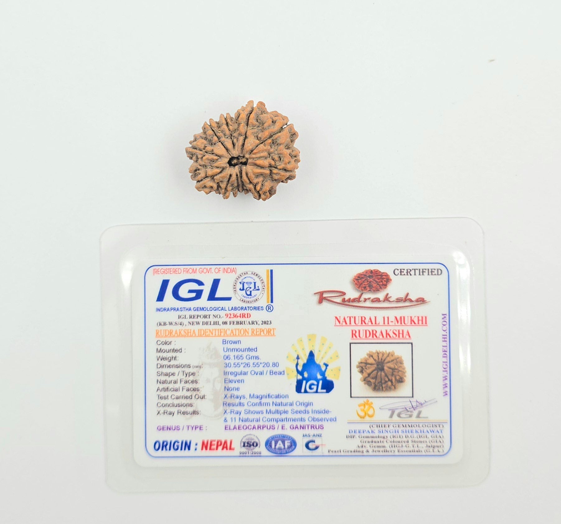 11 Mukhi
