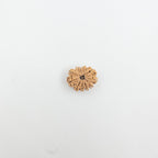 11 Mukhi