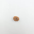 11 Mukhi