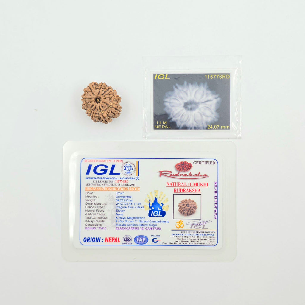11 Mukhi