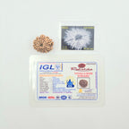 11 Mukhi