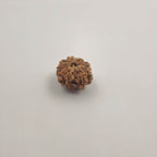 11 Mukhi