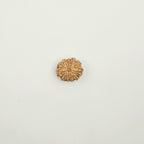11 Mukhi