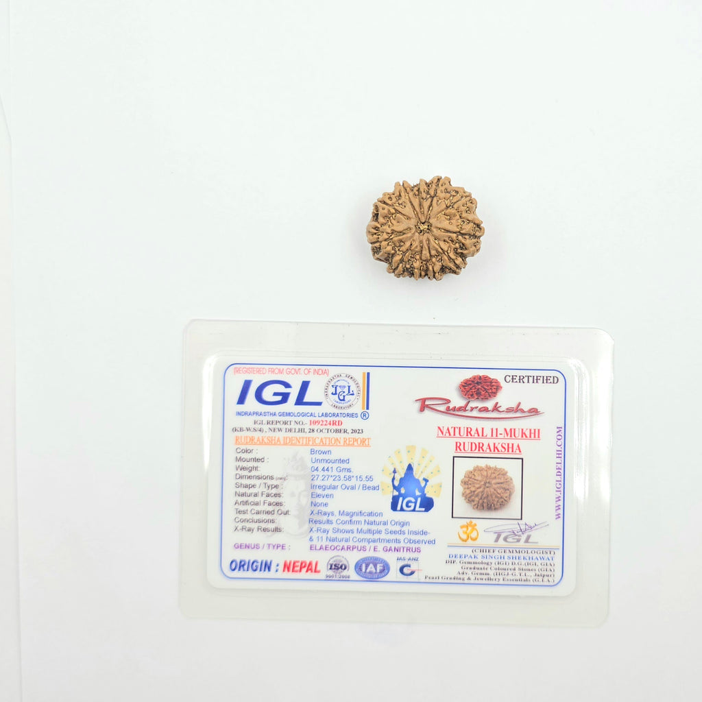 11 Mukhi
