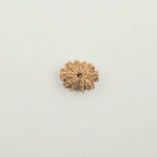 11 Mukhi