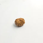 11 Mukhi