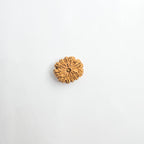 11 Mukhi