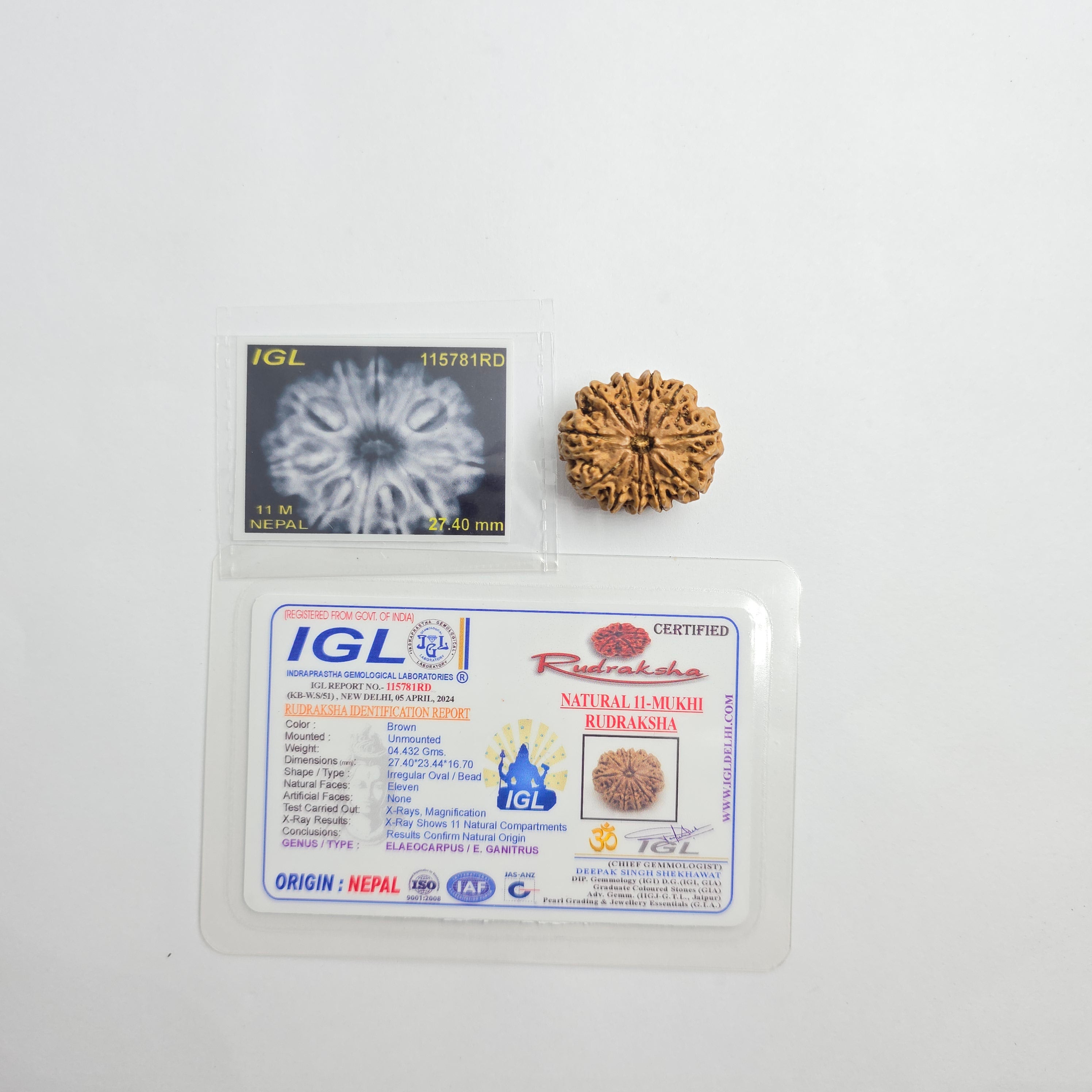 11 Mukhi
