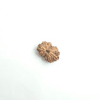 11 Mukhi