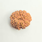 9 Mukhi