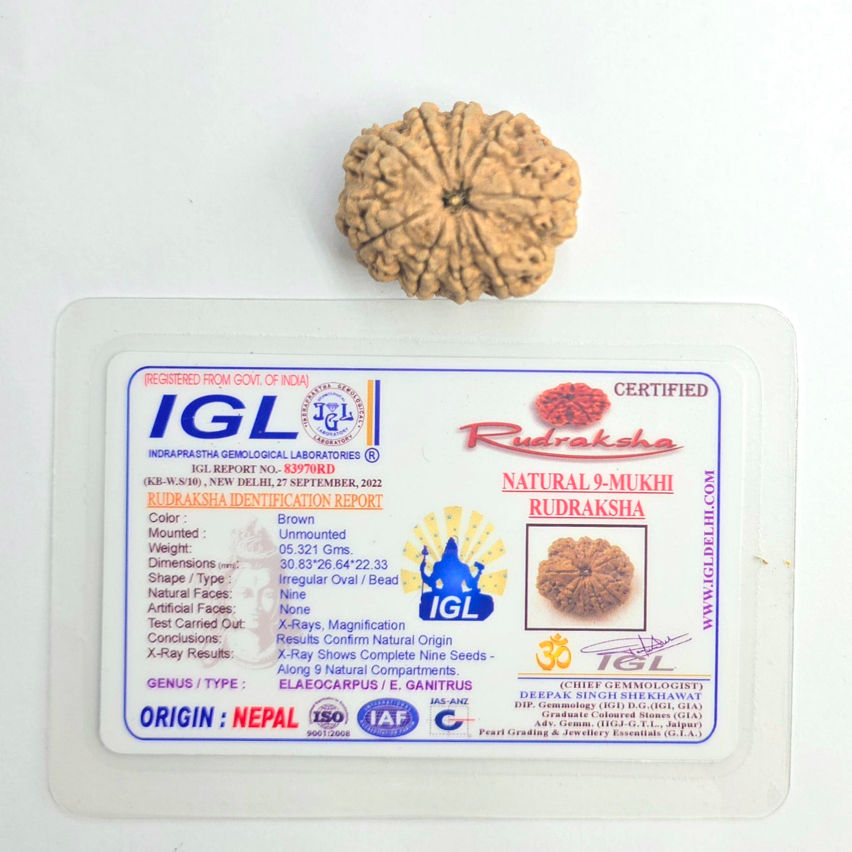 9 Mukhi