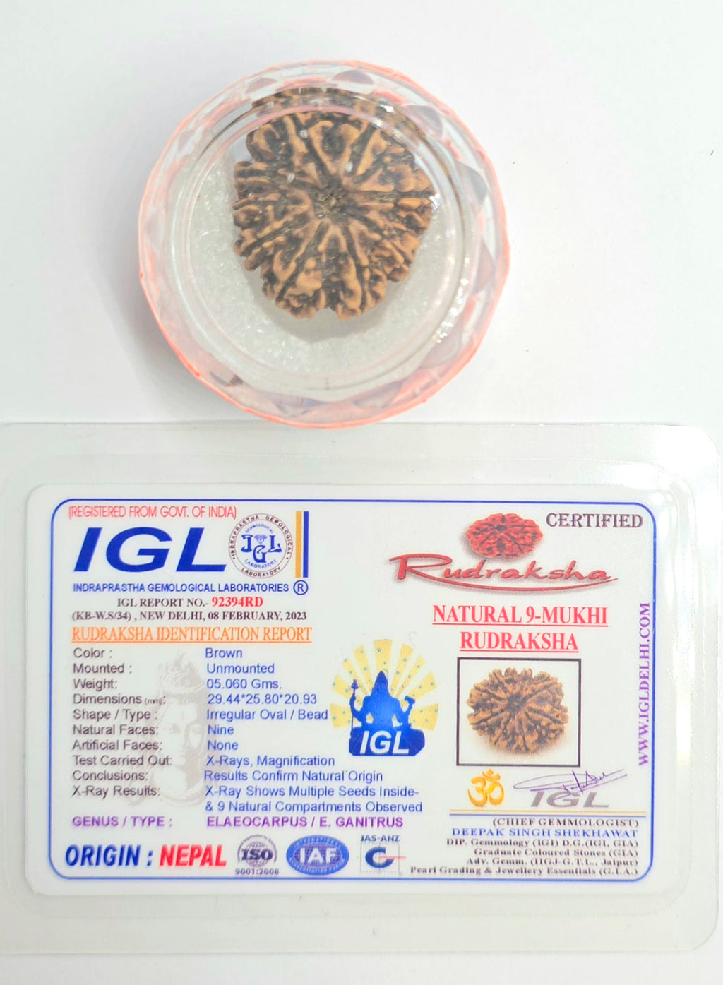 9 Mukhi