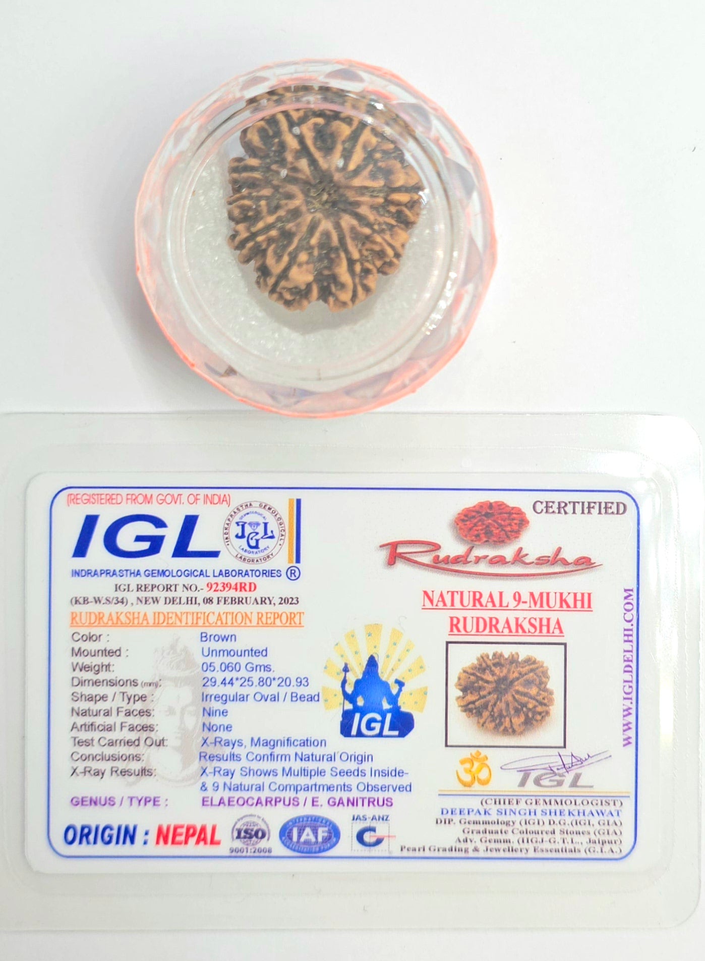 9 Mukhi