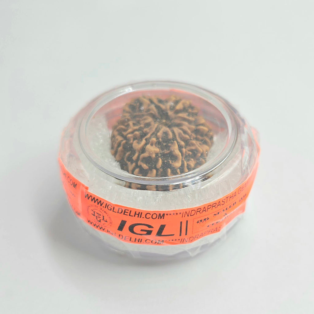 9 Mukhi