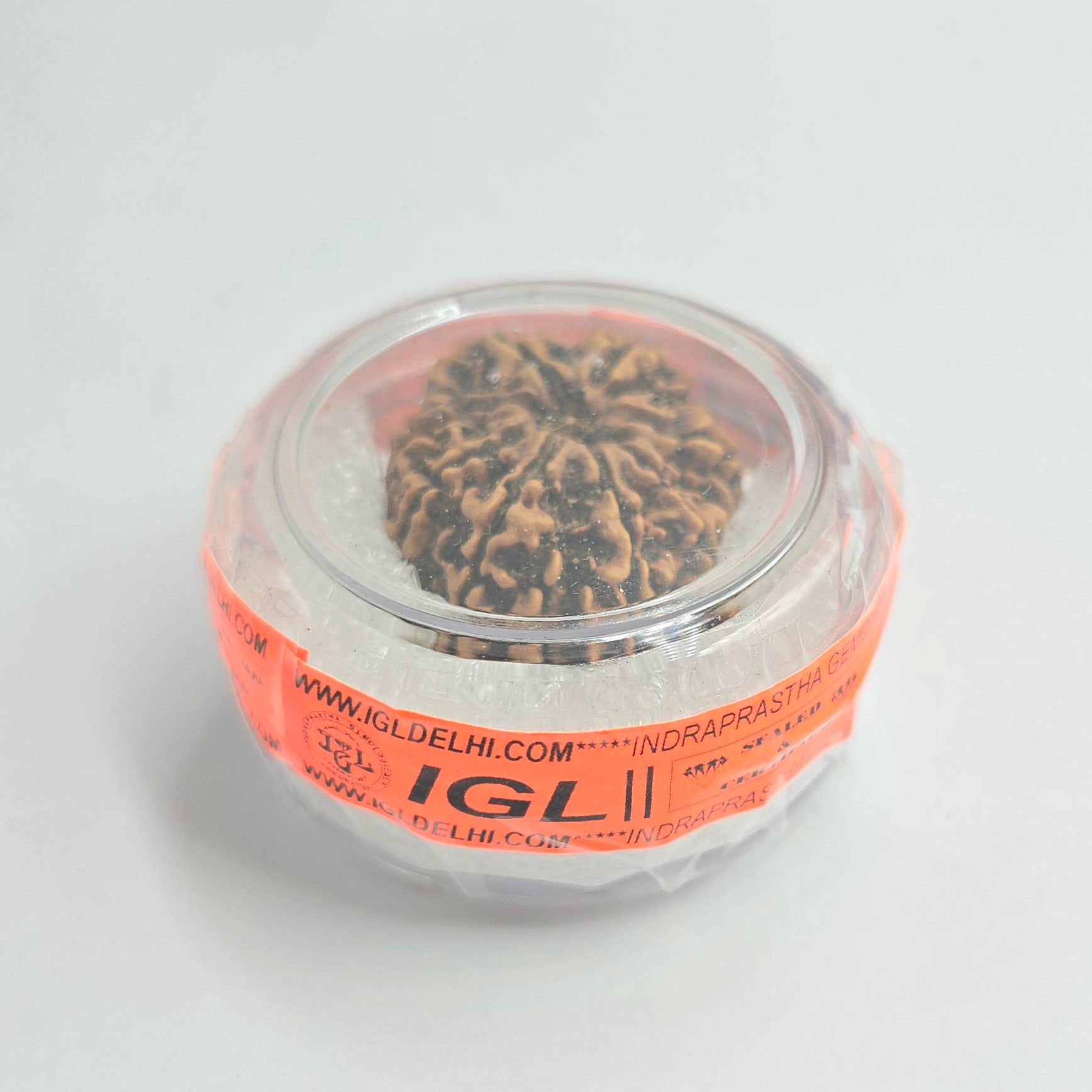9 Mukhi
