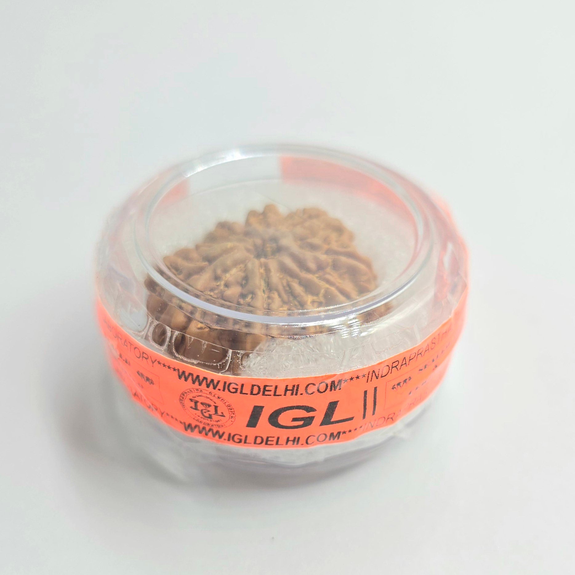 9 Mukhi