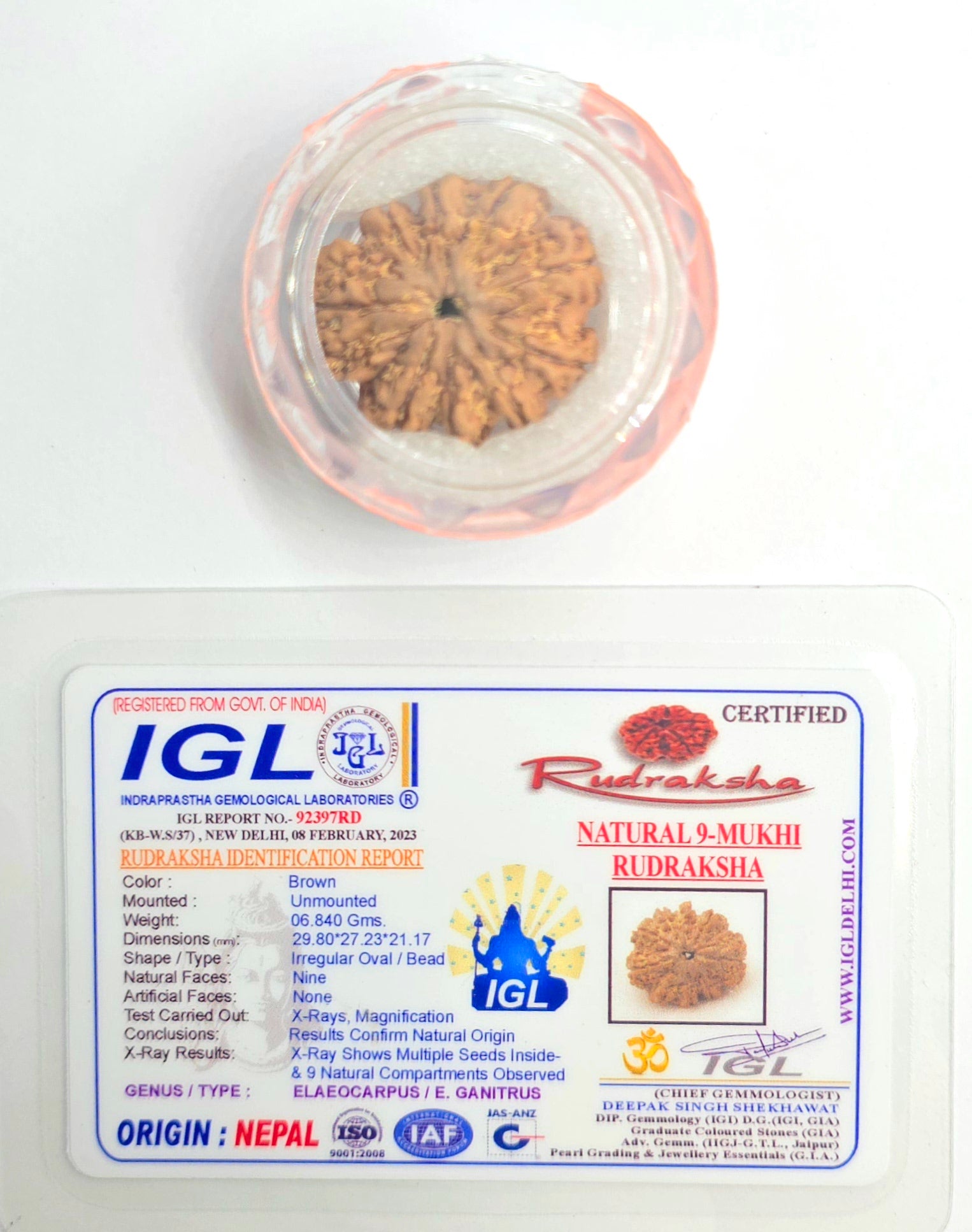 9 Mukhi