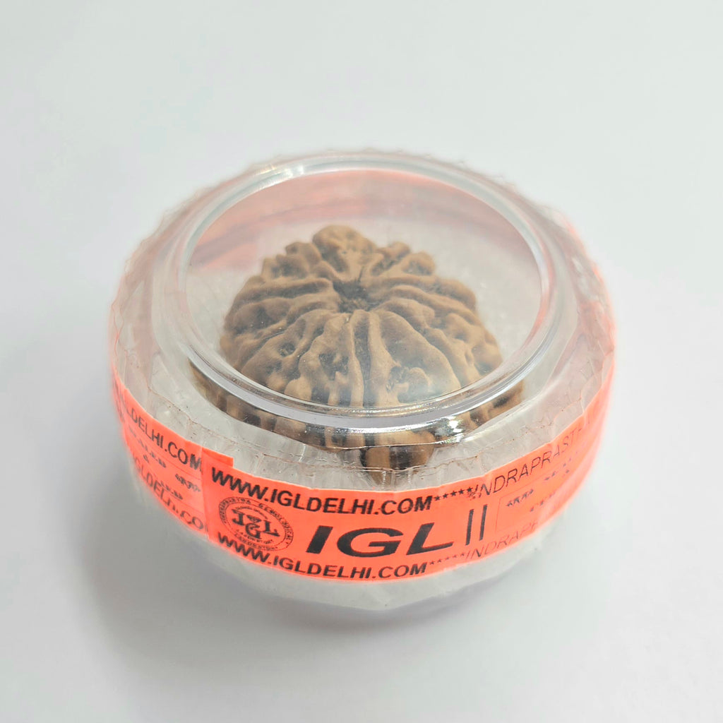 9 Mukhi