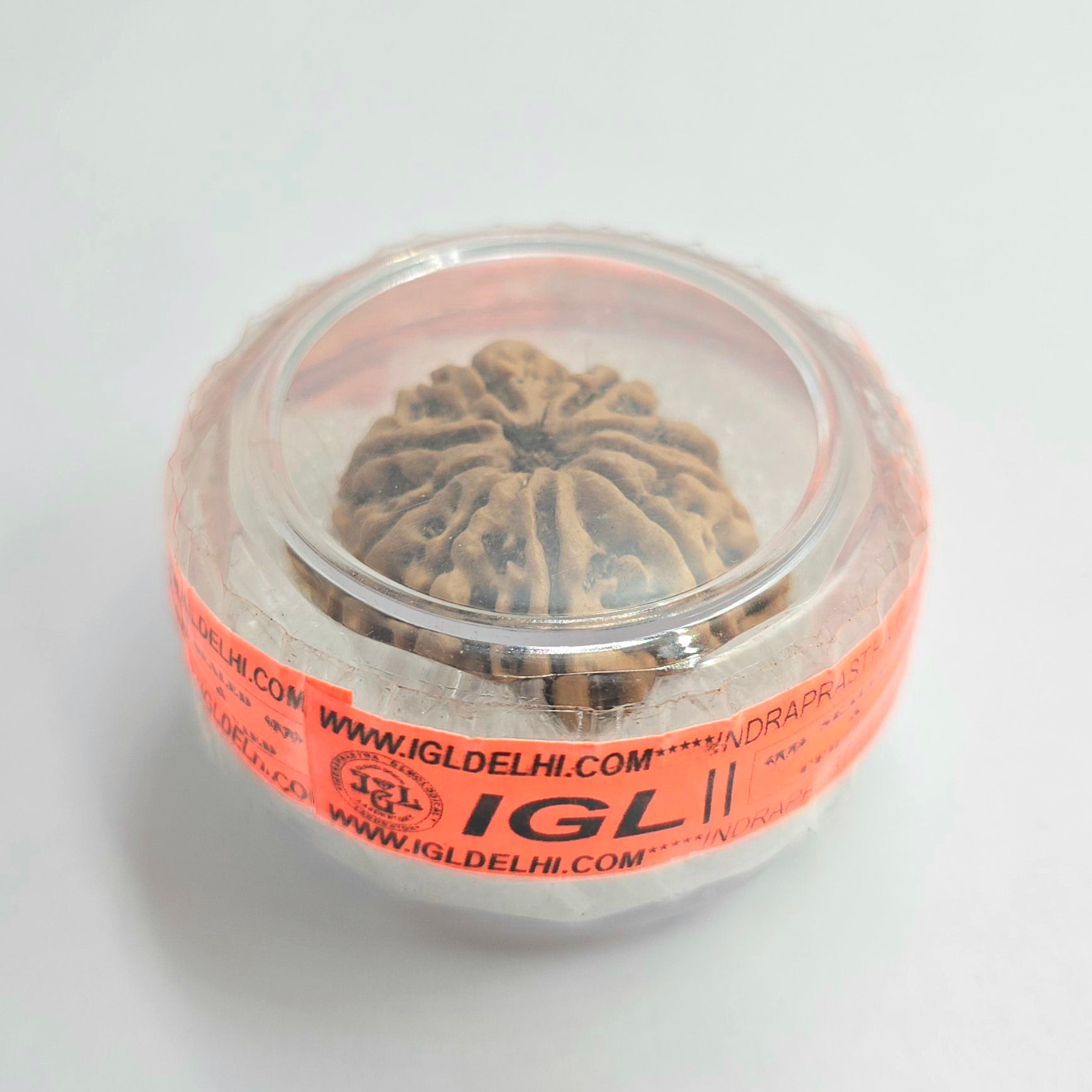 9 Mukhi