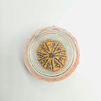 9 Mukhi