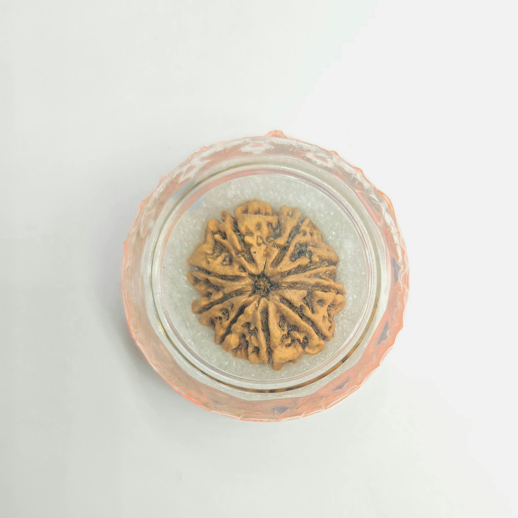 9 Mukhi