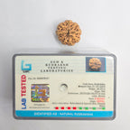 9 Mukhi